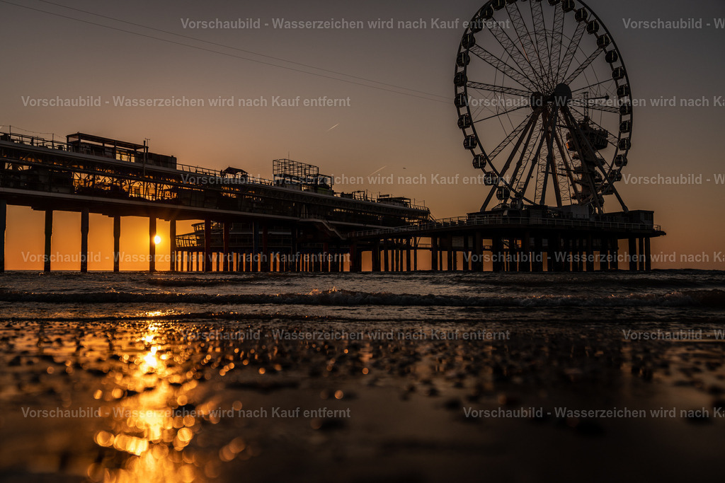 DSC02446 | marcuslinek