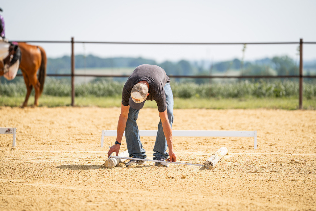 DSC09823 | Pferdegrafie