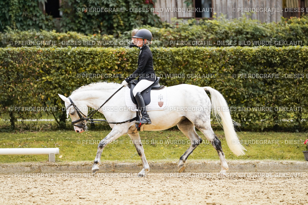 DSC09507 | Pferdegrafie