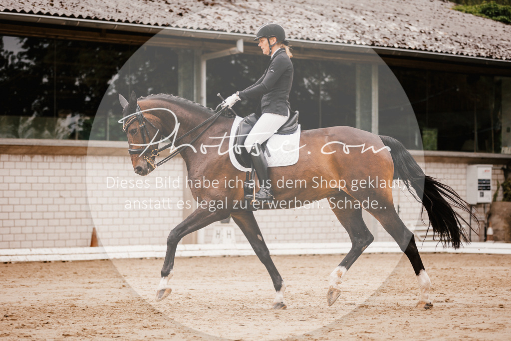 3I6A7824 | Stimmungsvolle Portraits und Reitsportfotografie im Ruhrgebiet und im Münsterland.

Pferdefotografie, Hundefotografie, Tierfotografie, Reportagen, Portraits von Tier und Mensch, Turnierfotografie in Bochum, Recklinghausen, Marl, Haltern am See, Dülmen.. - Realisiert mit Pictrs.com