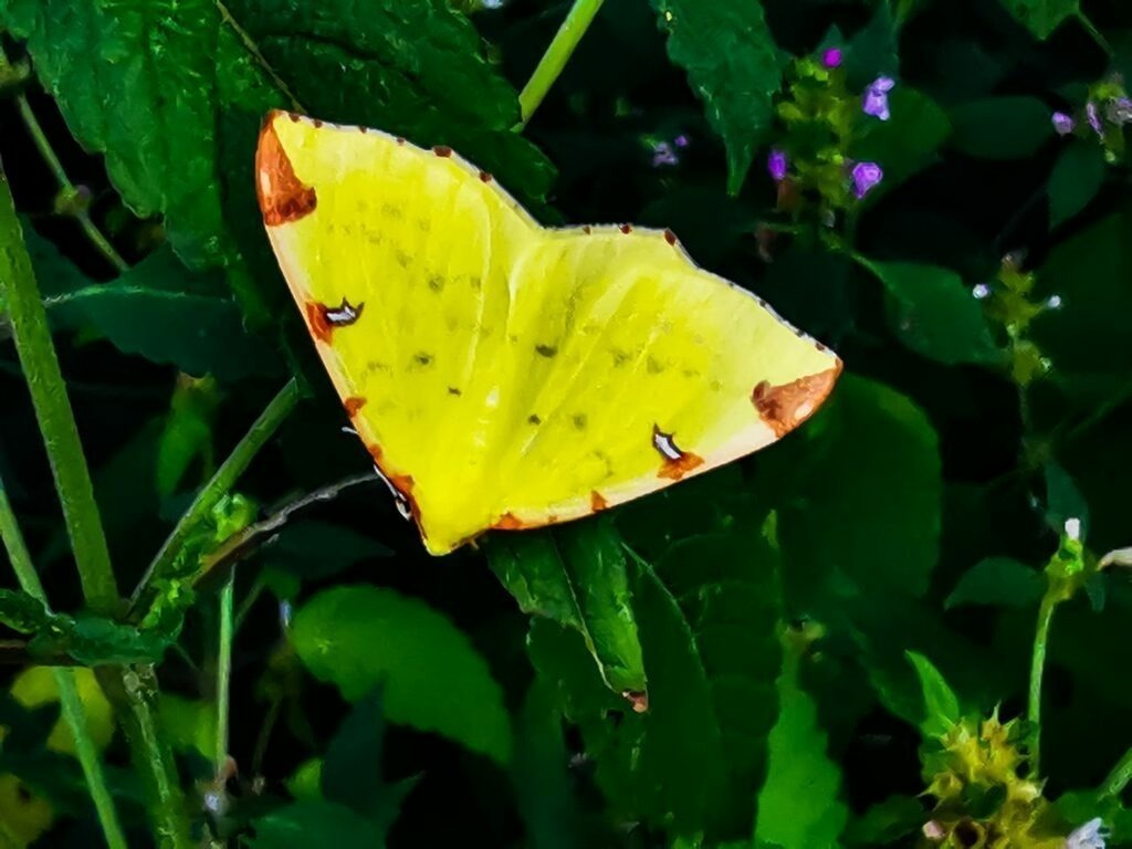 PSX_20220803_235944 | mtkfoto_ - Realisiert mit Pictrs.com