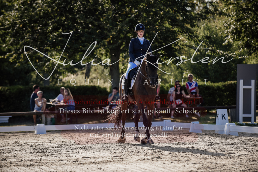 DSC_0557 | Pferde- und Turnierfotografie in Westsachsen. Pferdeportraits, Auftragszeichnungen und intuitive Kunst.