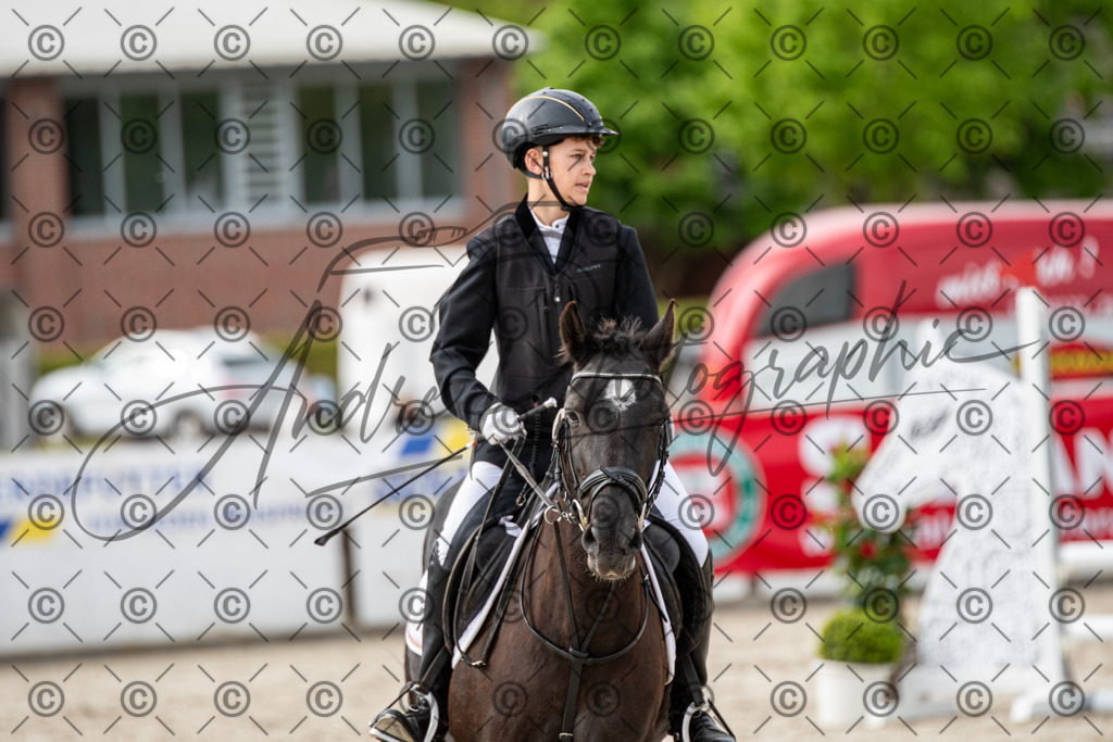 KPT_6627 | andre_photographic