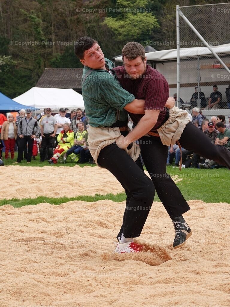 k-DSC06210 | Schwingen - Realisiert mit Pictrs.com