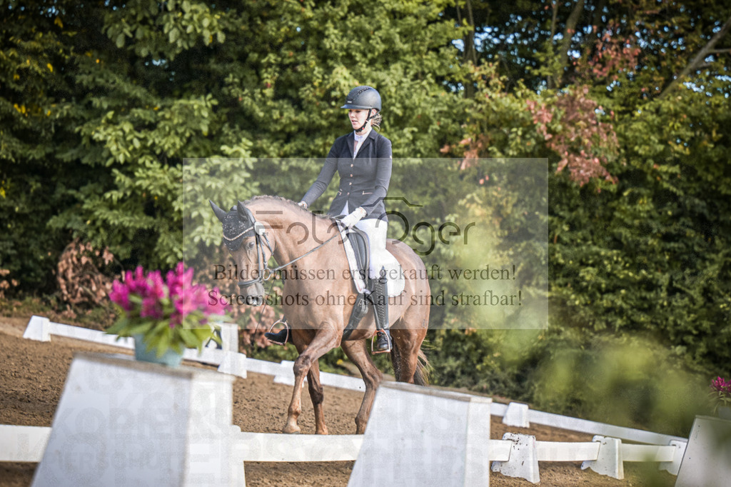 DOS_0303 | Entdecke hochwertige Reitturnierfotos von Foto Oger. Professionell, emotional und authentisch – jetzt Lieblingsmomente im Shop bestellen.Deutschlandweite Turnierfotografie. - Realisiert mit Pictrs.com