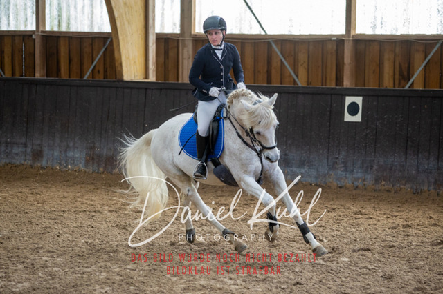 IMG_1929 | Turniersportfotografie; Pferdefotografie; Dressurfotografie