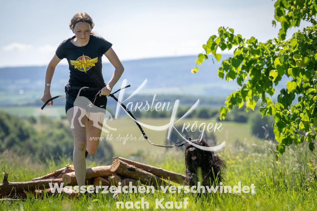1035_ZZ93413 | kk-dogfotos