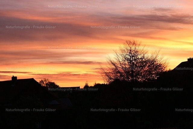 Morgenlicht am Elm | Naturfotografie Frauke Gläser - Realisiert mit Pictrs.com