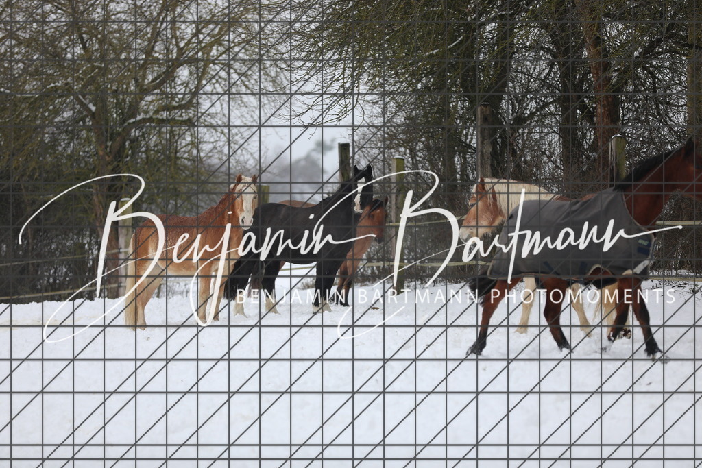 AZ2A3398 | Benjamin Bartmann Photomoments