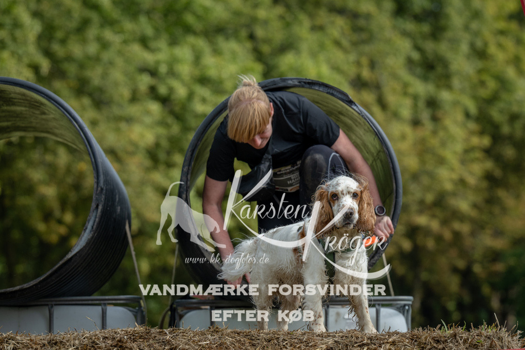 1145_ZZ90325 | kk-dogfotos