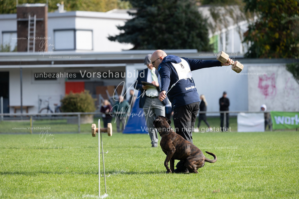 _16A6811 | Einzigartige Fotos von Hunden & Menschen –Actionfotos, Portraits, Vereinsaufnahmen & Paarshootings – authentisch, lebendig & mit Herz.