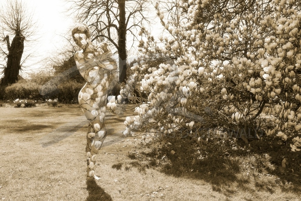 NatureArt-MAGNOLIEN_8625c | Eingefärbte Magnolie | #013 | Modell: Daniela | Foto: Tschiponnique Skupin - Realisiert mit Pictrs.com