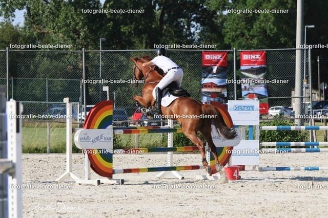 OHT 2022 Röhlingen (147) | Fotografie, Tiere, Hunde, Katzen, Pferde, Sportfotografie, Fotosession, Tierfotografie, Turnierfotografie, Fotografin, Fotograf - Realisiert mit Pictrs.com