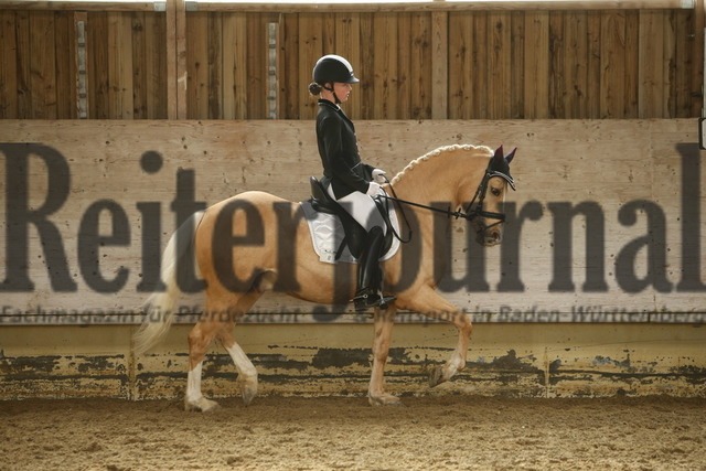 Herbertingen_2022_Pony-Dressurreiterprfg_Kl.A_Anna-Maria Locher_Golden Prince WE (3) | Alle Fotos der Reiterjournal Fotografin Doris Matthaes im Reiterjournal Online-Fotoshop. - Realisiert mit Pictrs.com