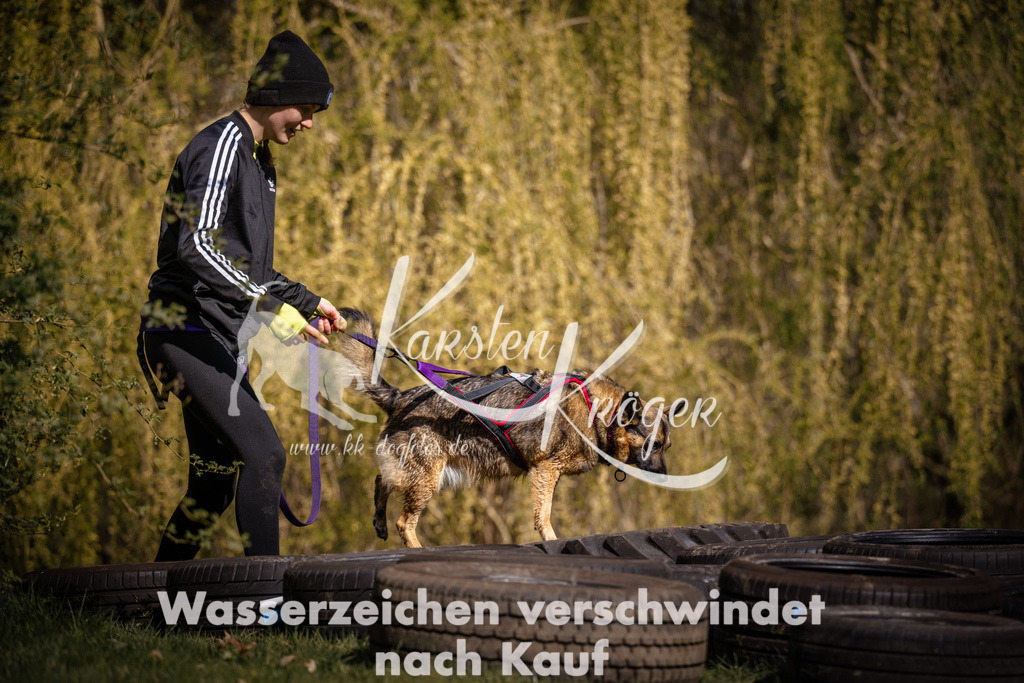 1040_ZZ98630 | kk-dogfotos