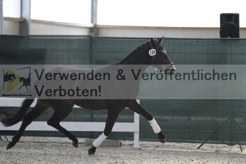 _MG_9696 | equestrian-live-com