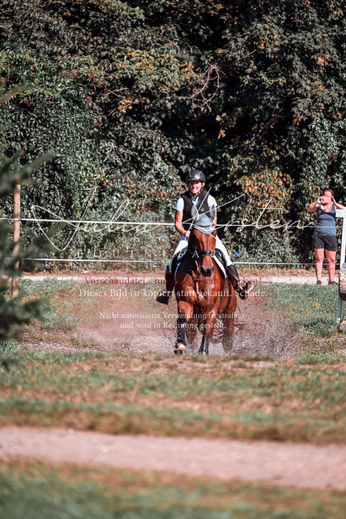DSC_1004 | Pferde- und Turnierfotografie in Westsachsen. Pferdeportraits, Auftragszeichnungen und intuitive Kunst.