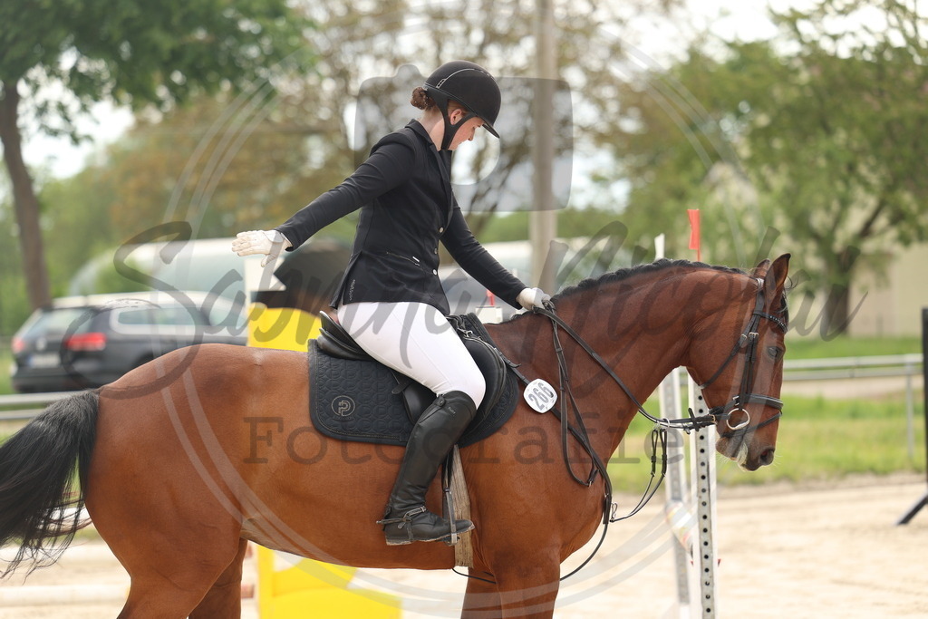 994A8137 | sabrinanicolaifotografie - Realisiert mit Pictrs.com