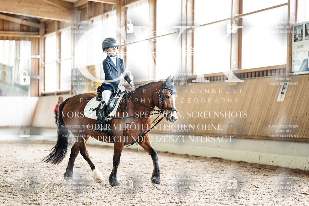CK900696 | Turnierfotografie Pferdefotografie Trier Rheinland-Pfalz Pferdesport Reitsport Tierfotografie Sportfotografie Pferdevideo Pferdevideografie Equestrianvideography equestrianphotography  - Realisiert mit Pictrs.com