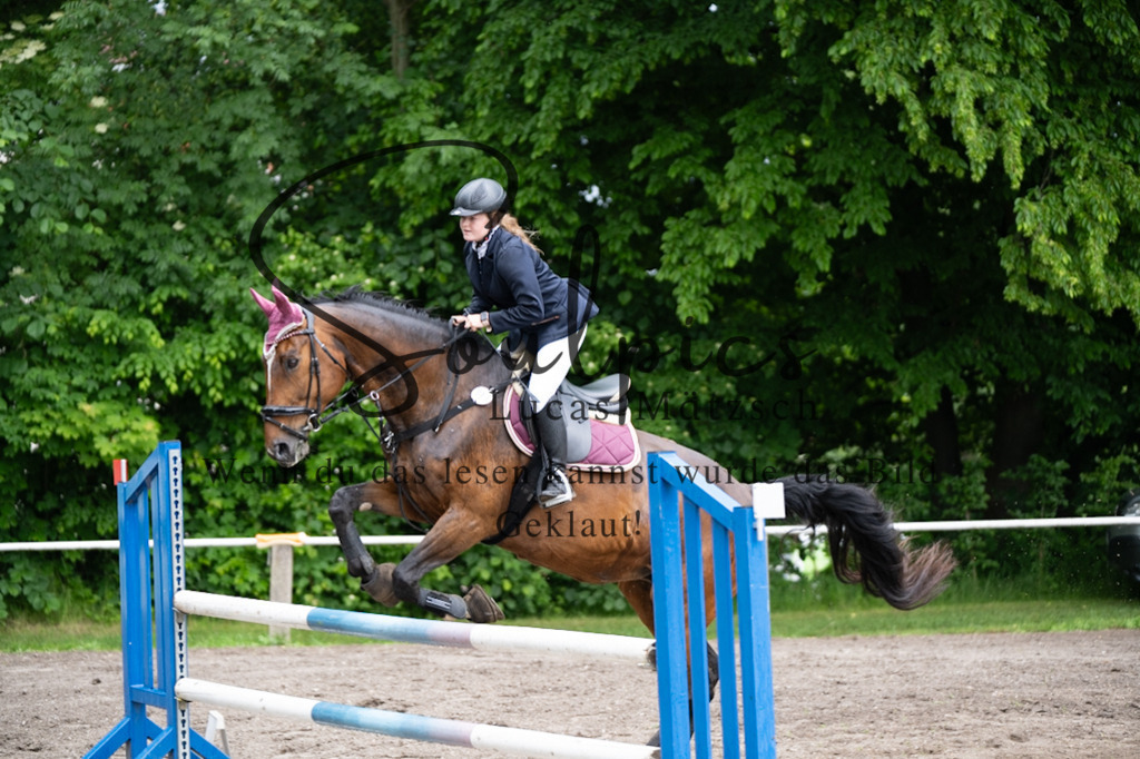 A7V04028 | Pferdefotograf