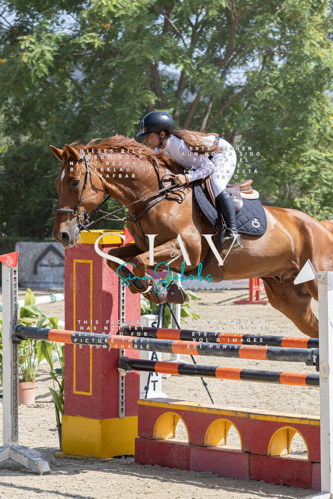 IMG_3551 | s-jay-photography - Realisiert mit Pictrs.com