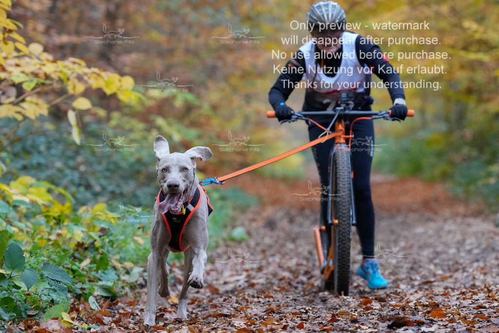 AusschnitteSo-73 | stephaniefillaphotographie - Realisiert mit Pictrs.com