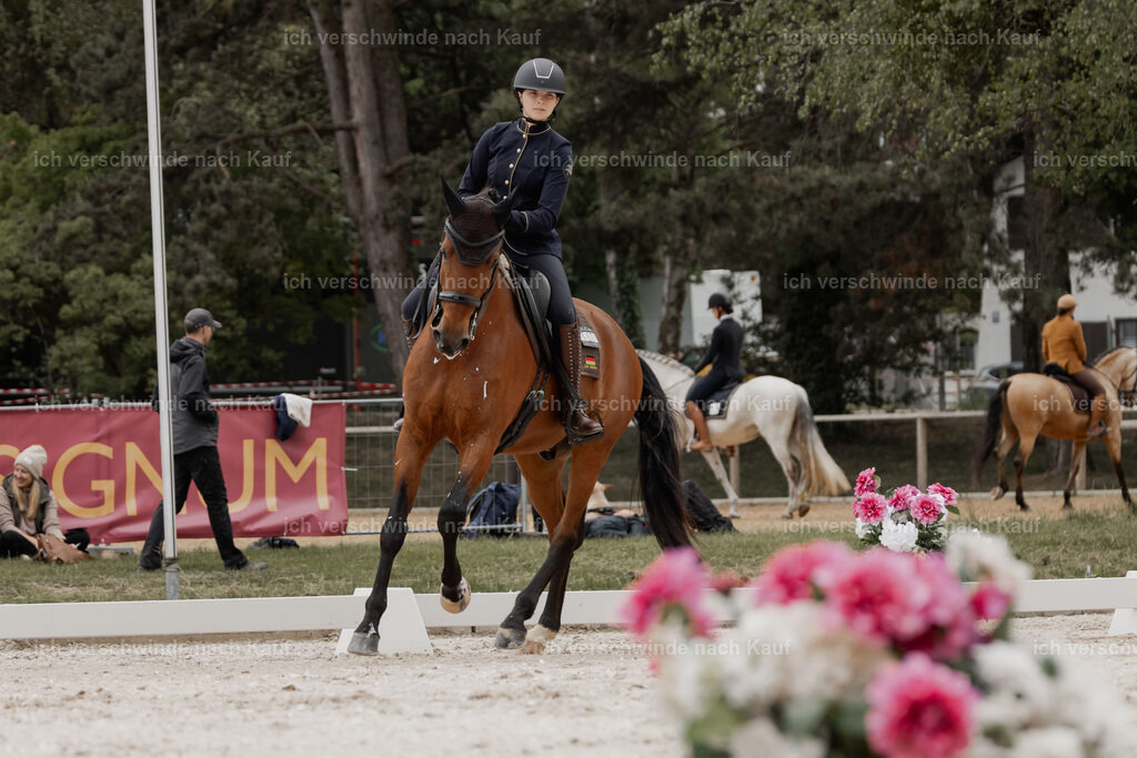 WE_DR_Stoib_335_PI2025_400 | Pferd International München 2025