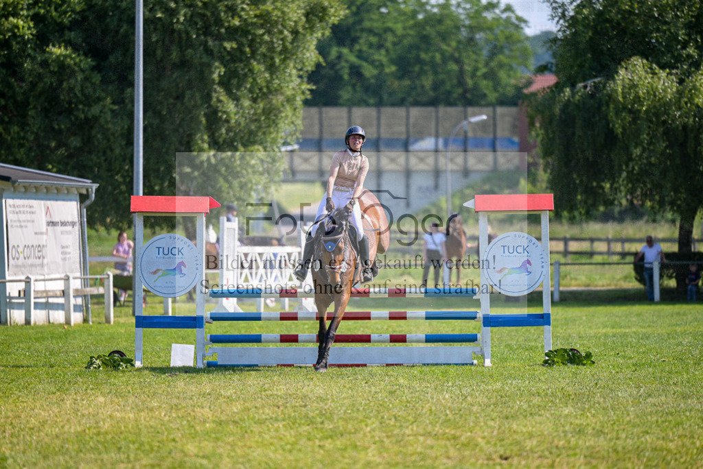 Reitturnier Voxtrup | Entdecke hochwertige Reitturnierfotos von Foto Oger. Professionell, emotional und authentisch – jetzt Lieblingsmomente im Shop bestellen. - Realisiert mit Pictrs.com