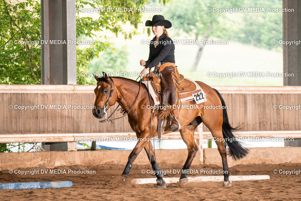 Erbach Tag 2-567 | dv-media-shop - Realisiert mit Pictrs.com