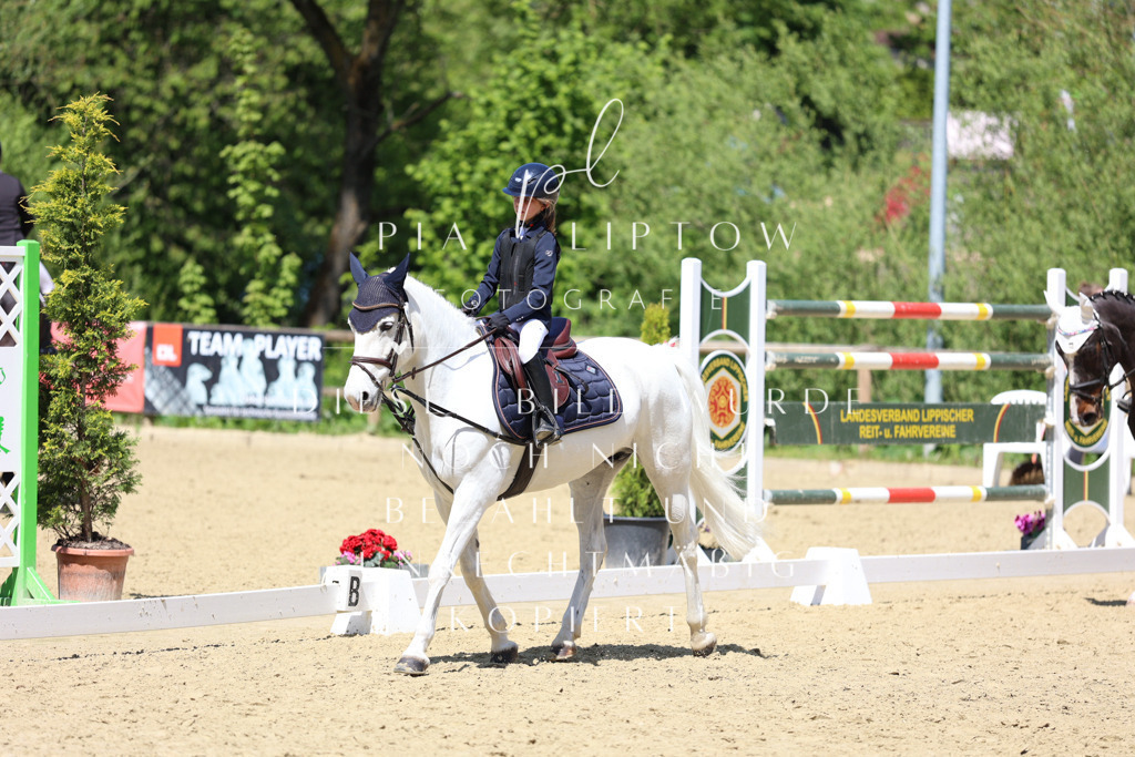 IMGS2702 | pl-fotografie