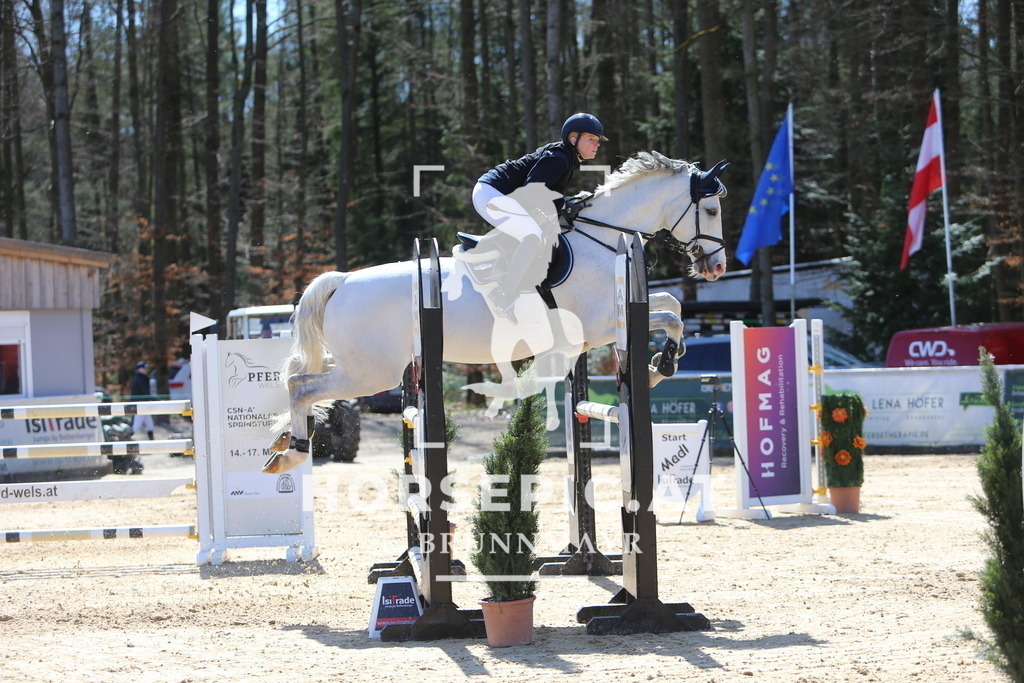 DL2Q5264 | Willkommen bei Brunnmayr - Design & Fotografie – Ihrem Spezialisten für Reitturniere und Pferdeveranstaltungen in Oberösterreich, Salzburg und Bayern! Seit über 17 Jahren sind wir leidenschaftlich dabei.