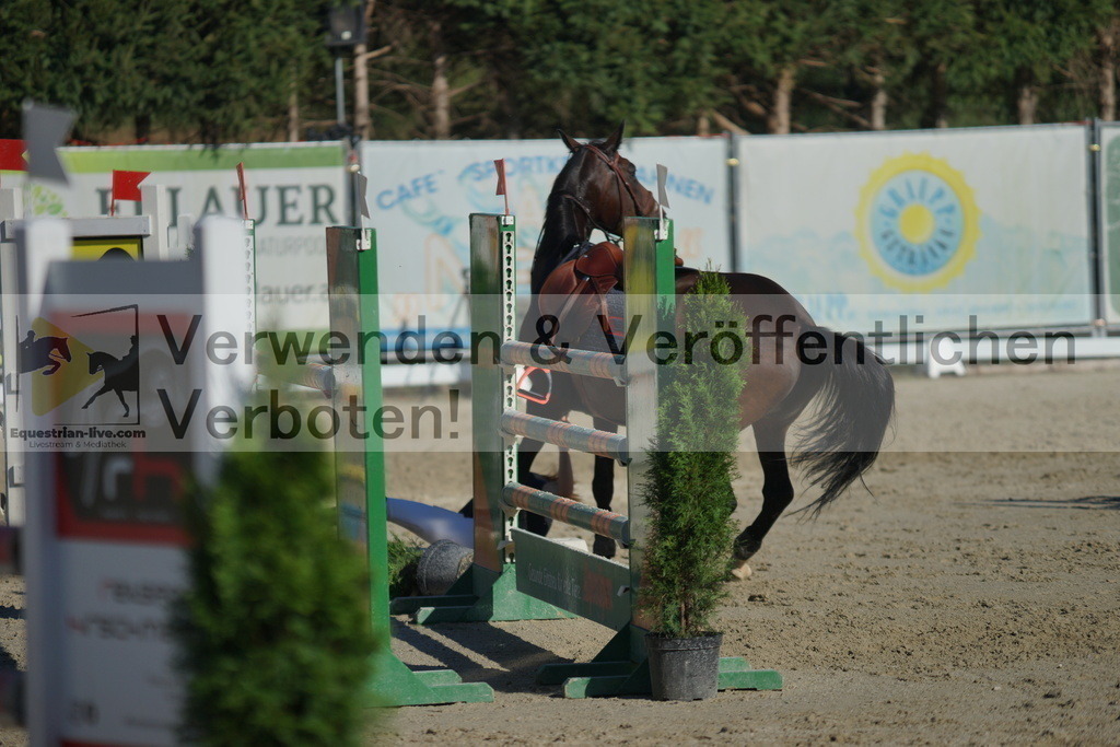 DSC01285 | equestrian-live-com