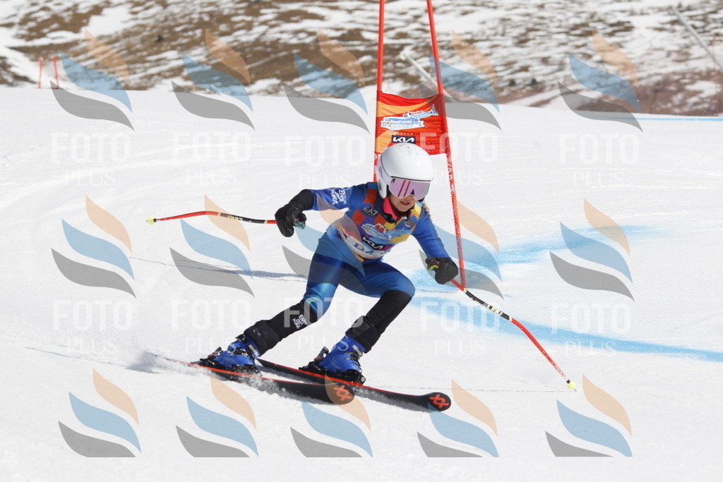 _U3G0219 | holidayphoto