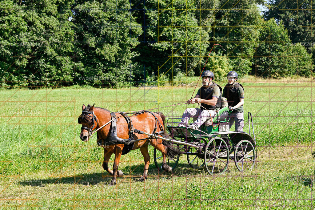 30 Jahre RFV Pulsnitz e.V., Pulsnitz am 09.08.2026 | 30Jahre Reit- und Fahrverein Pulsnitz e.V., Pulsnitz am 08.08.2026Zur 28. breitensportlichen Veranstaltung des RFV Pulsnitz e.V. fanden verschiedene Wettbewerbe in nahezu allen Disziplinen des Pferdesport statt.- Geländefahr-Wettbewerb - Realisiert mit Pictrs.com