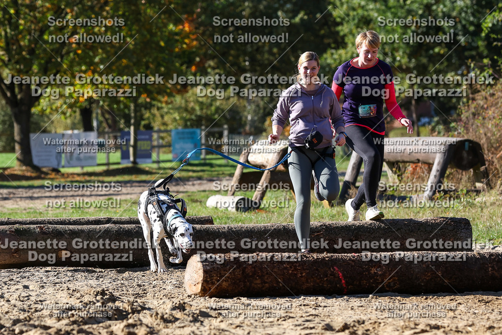 Dog Paparazzi - Strongdog 10-25-2772 | Dog Paparazzi Jeanette Grottendiek Fotografie & Videografie - Realisiert mit Pictrs.com