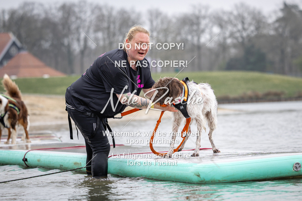 nelerasche_Hulsbeek_Sa1130-1230_224 | nelerasche