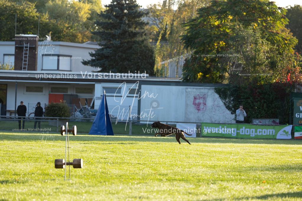 _16A6047 | Einzigartige Fotos von Hunden & Menschen –Actionfotos, Portraits, Vereinsaufnahmen & Paarshootings – authentisch, lebendig & mit Herz.