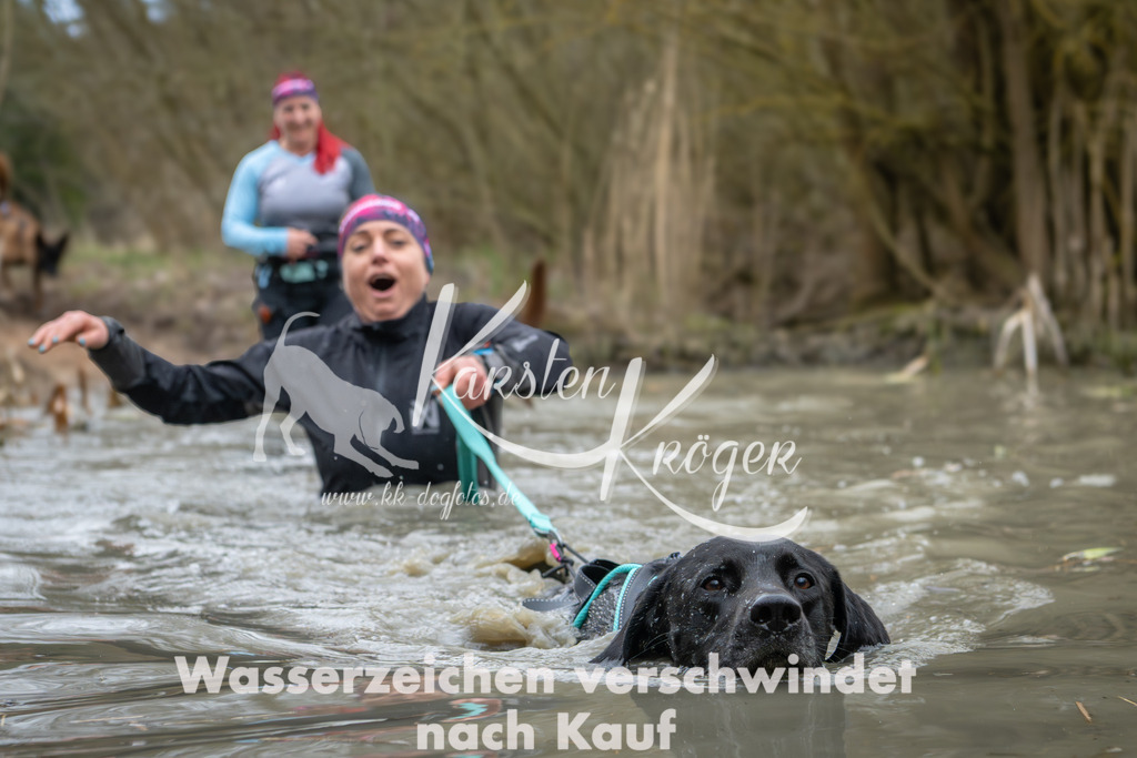 1340_ZZ91539 | kk-dogfotos
