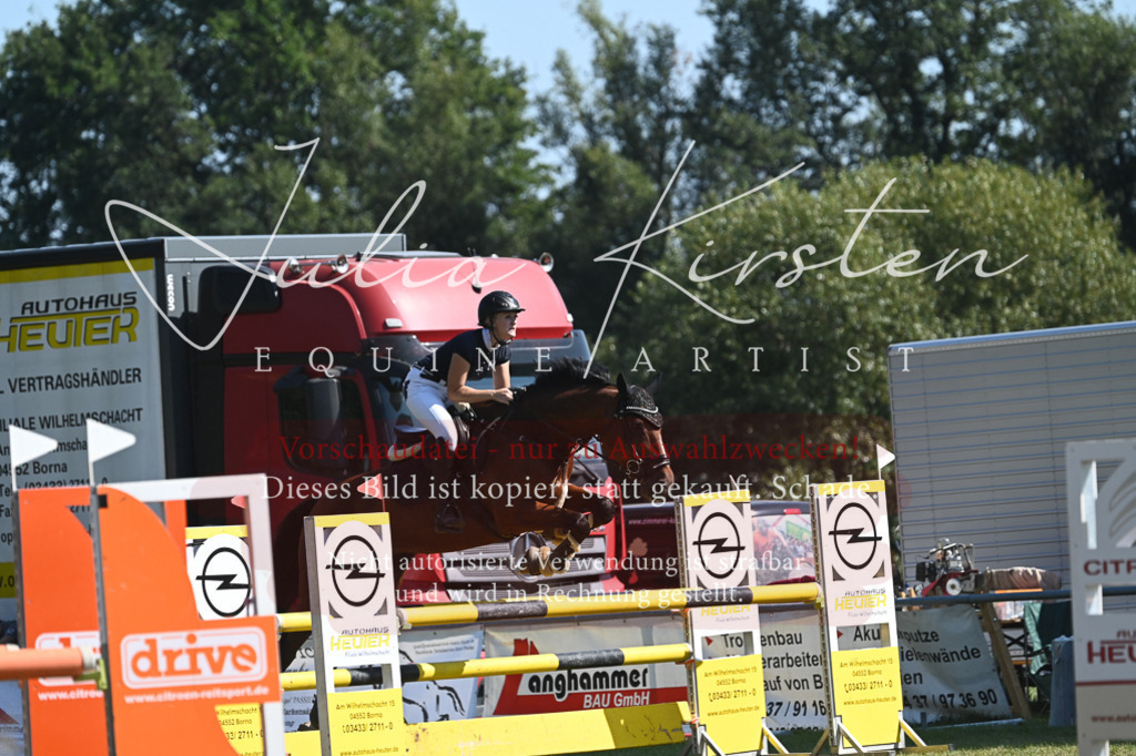 DSC_6442 | Pferde- und Turnierfotografie in Westsachsen. Pferdeportraits, Auftragszeichnungen und intuitive Kunst.