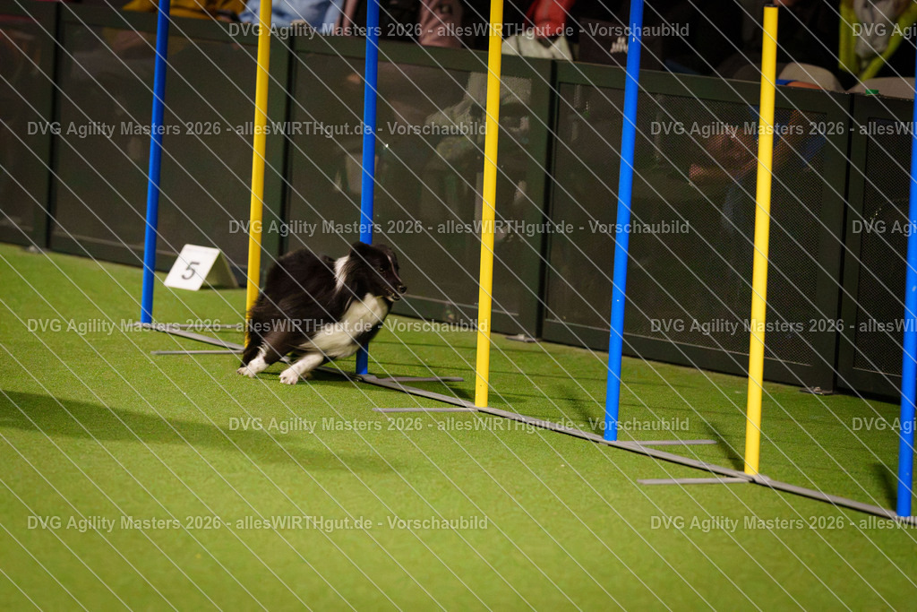 allesWIRTHgut_Tierfotografie-DVG_Agility_Masters_2026-18_11-7R506629 | Professionelle Tierfotografie in Mönchengladbach von Daniel Wirth (allesWIRTHgut). Liebevolle & natürliche Bilder von Hunden & Katzen für unvergessliche Erinnerungen.