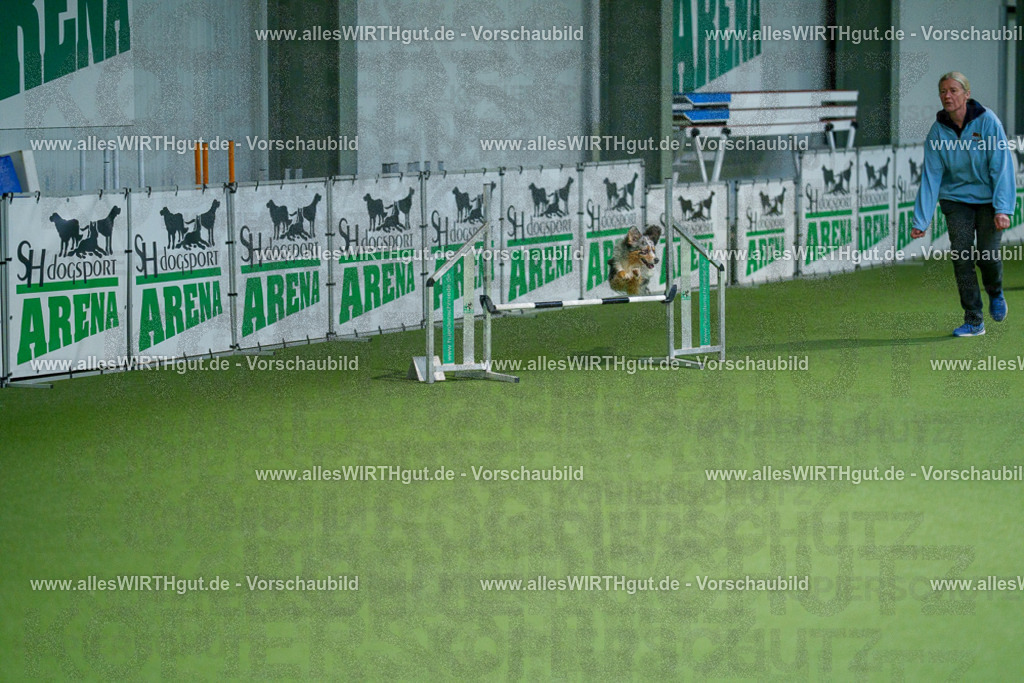 @allesWIRTHgut_Tierfotografie - www.allesWIRTHgut.de - 2604250842-7R507499 | Professionelle Tierfotografie in Mönchengladbach von Daniel Wirth (allesWIRTHgut). Liebevolle & natürliche Bilder von Hunden & Katzen für unvergessliche Erinnerungen.