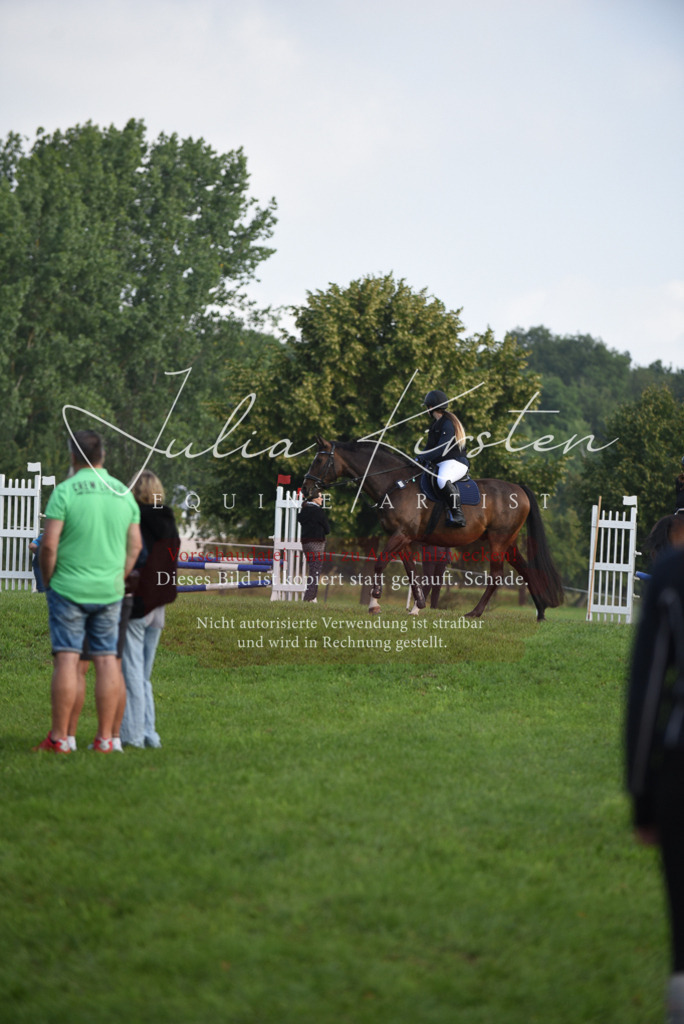 DSC_8576 | Pferde- und Turnierfotografie in Westsachsen. Pferdeportraits, Auftragszeichnungen und intuitive Kunst.