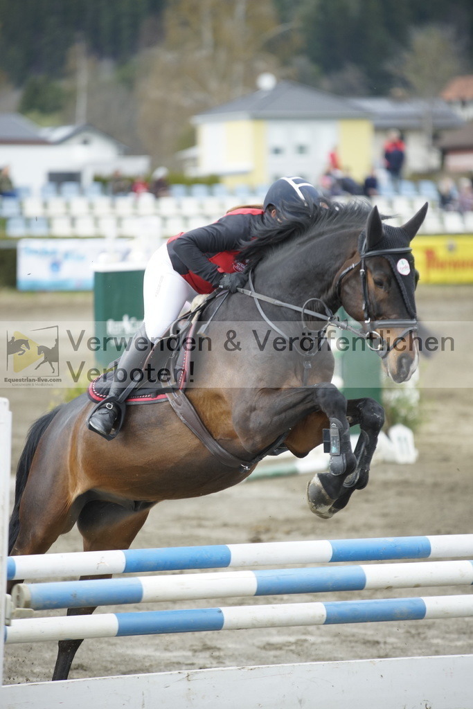 _DSC7948 | equestrian-live-com