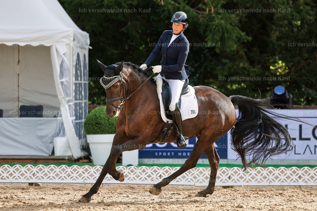 02-204-DRESSUR L_  -StoibPH-4798 | working equitationturnier fotograf videograf stoibphotography marixx film working equitation deutschland reitsport turnierfotografie eventfotografie equestrian events