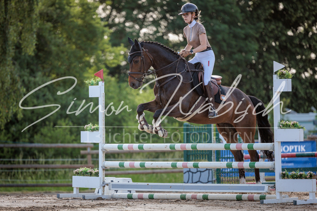 20260529-_3LI1111 | Tierfotografie Pferde, Hunde, Katzen, Haustiere.
Turnierfotografie Reitturniere, Reiten, Springreiten, Dressur in Hanau, dem Main-Kinzig-Kreis und dem Rhein-Main- Gebiet um Frankfurt