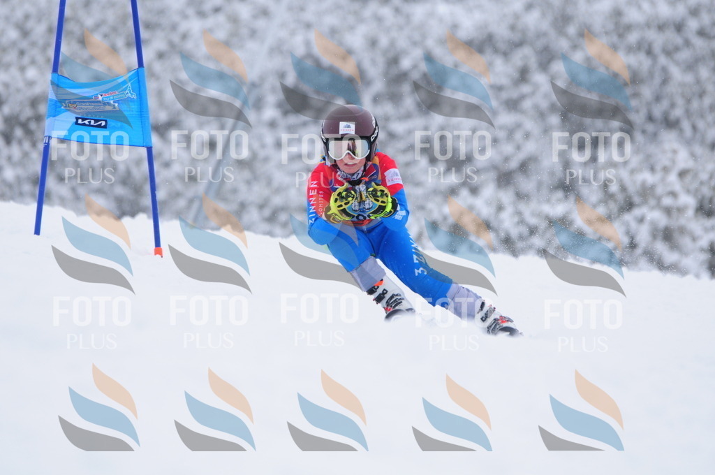 C3119 | holidayphoto