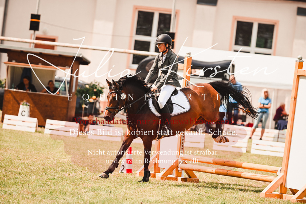 DSC_6916 | Pferde- und Turnierfotografie in Westsachsen. Pferdeportraits, Auftragszeichnungen und intuitive Kunst.