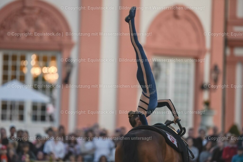 20230527_Voltigieren_NASPA_Flutlicht_0269 | equistock