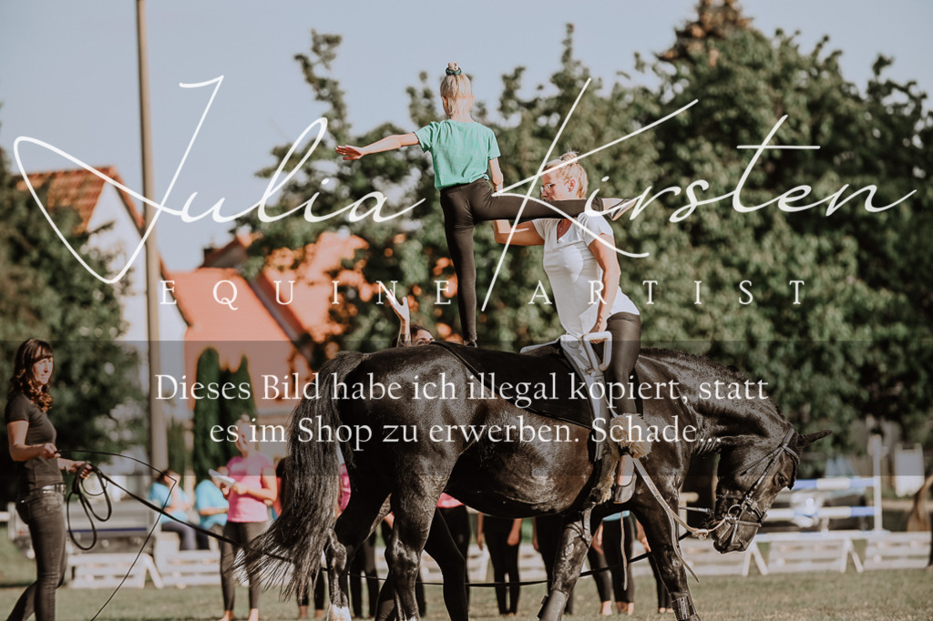 DSC_9973 | Pferde- und Turnierfotografie in Westsachsen. Pferdeportraits, Auftragszeichnungen und intuitive Kunst.