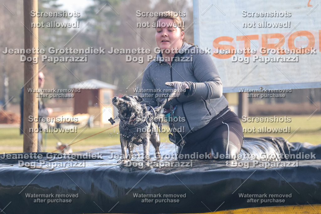 Dog Paparazzi - Strongdog North Mrz26-228 | Dog Paparazzi Jeanette Grottendiek Fotografie & Videografie - Realisiert mit Pictrs.com